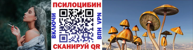 блэк спрут зеркало  площадка клад  Псилоцибиновые грибы ЛСД  Сольцы 