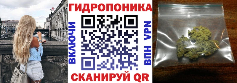 Канабис VHQ  цена   Сольцы 